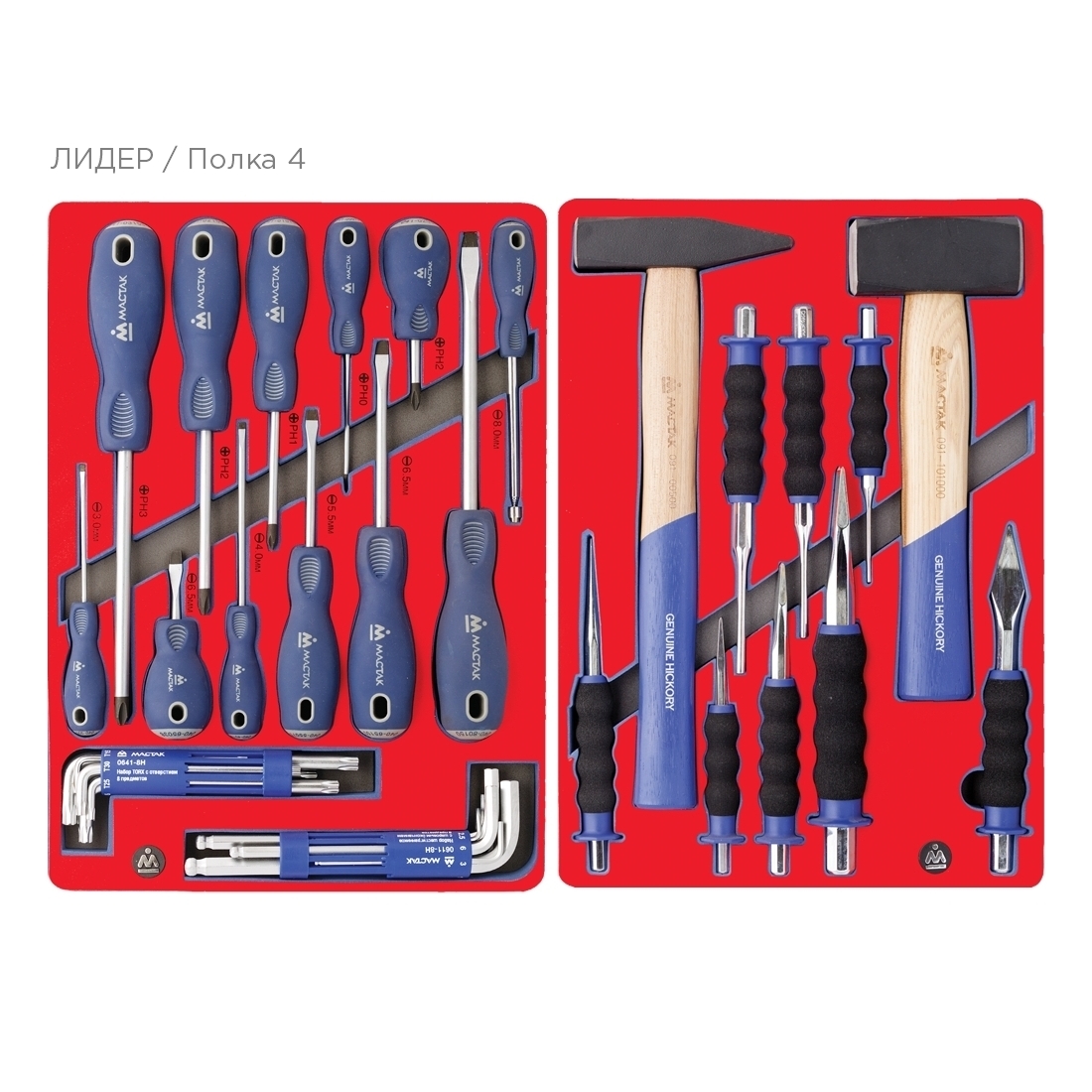 Набор инструментов ''ЛИДЕР'' для тележки, 14 ложементов, 270 предметов МАСТАК 5-00270 купить по цене 149&nbsp;700 ₽ в интернет магазине ТЕХСАД