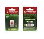 Биты БОЕКОМПЛЕКТ BPH2-25-2 купить по цене 80 ₽ в интернет магазине ТЕХСАД