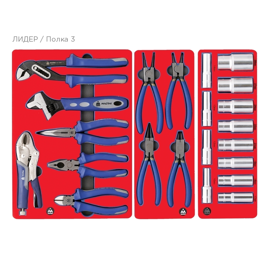 Набор инструментов ''ЛИДЕР'' для тележки, 14 ложементов, 270 предметов МАСТАК 5-00270 купить по цене 149&nbsp;700 ₽ в интернет магазине ТЕХСАД