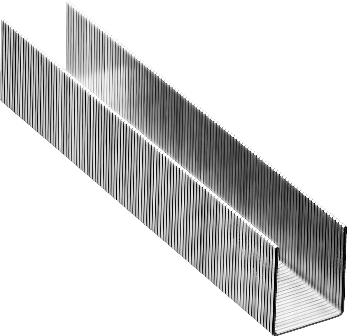 STAYER скобы тип 53 (A / 10 / JT21), 14 мм, 1000 шт., закаленные, особотвердые, скобы для степлера тонкие 3159-14_z02 Professional купить по цене 116 ₽ в интернет магазине ТЕХСАД