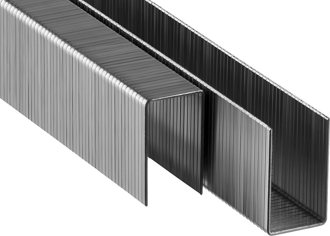 ЗУБР скобы тип 53F, 19 мм, скобы особотвердые 31950-19 Профессионал купить по цене 920 ₽ в интернет магазине ТЕХСАД