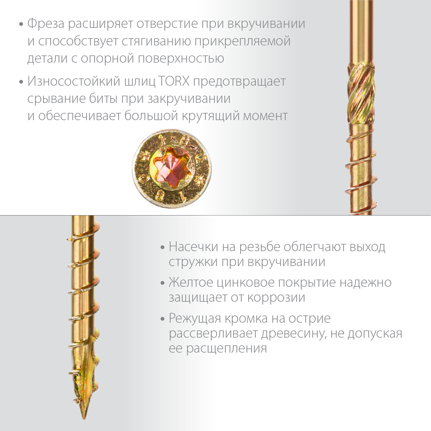 ЗУБР 80 х 5.0 мм, 100 шт., желтый цинк, КС-П конструкционные саморезы 30041-50-080 купить по цене 640 ₽ в интернет магазине ТЕХСАД