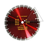 Диск алмазный CHAMPION бетон M 350/25,4/12 (старый бетон, ж/б с наполн.сред.тв) арт. C1632 купить по цене 4&nbsp;000 ₽ в интернет магазине ТЕХСАД