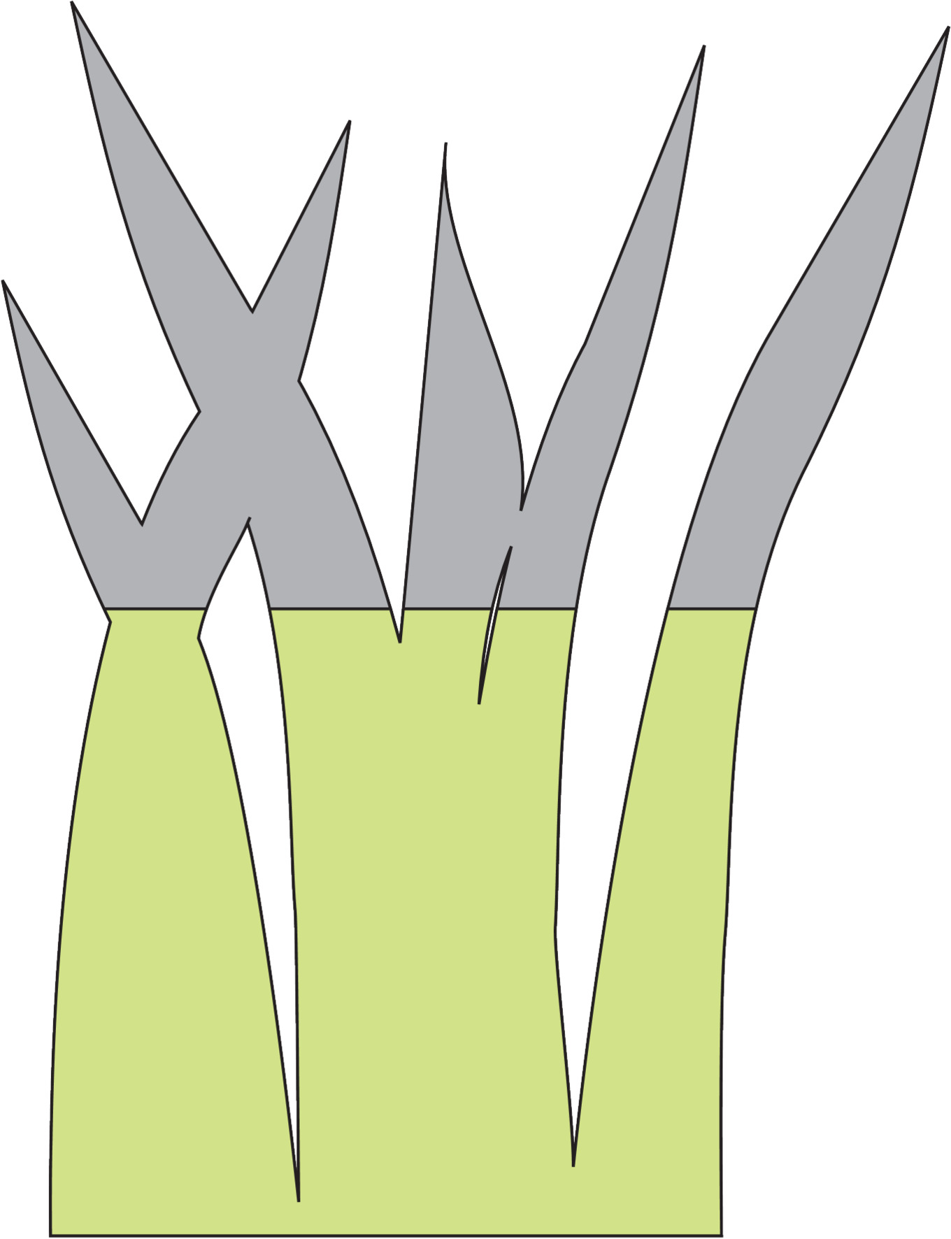 Газонокосилка механическая (шпиндельная) AL-KO Comfort 38.1 HM купить по цене 6&nbsp;990 ₽ в интернет магазине ТЕХСАД