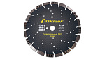 Диск алмазный CHAMPION C1609 универсальный PRO 300/25,4/10 Mixtar купить по цене 7&nbsp;590 ₽ в интернет магазине ТЕХСАД