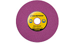 Диск заточной CHAMPION (3/8PM .0.325 .1/4) 145х3.2х22.2 для станка C2001 купить по цене 490 ₽ в интернет магазине ТЕХСАД