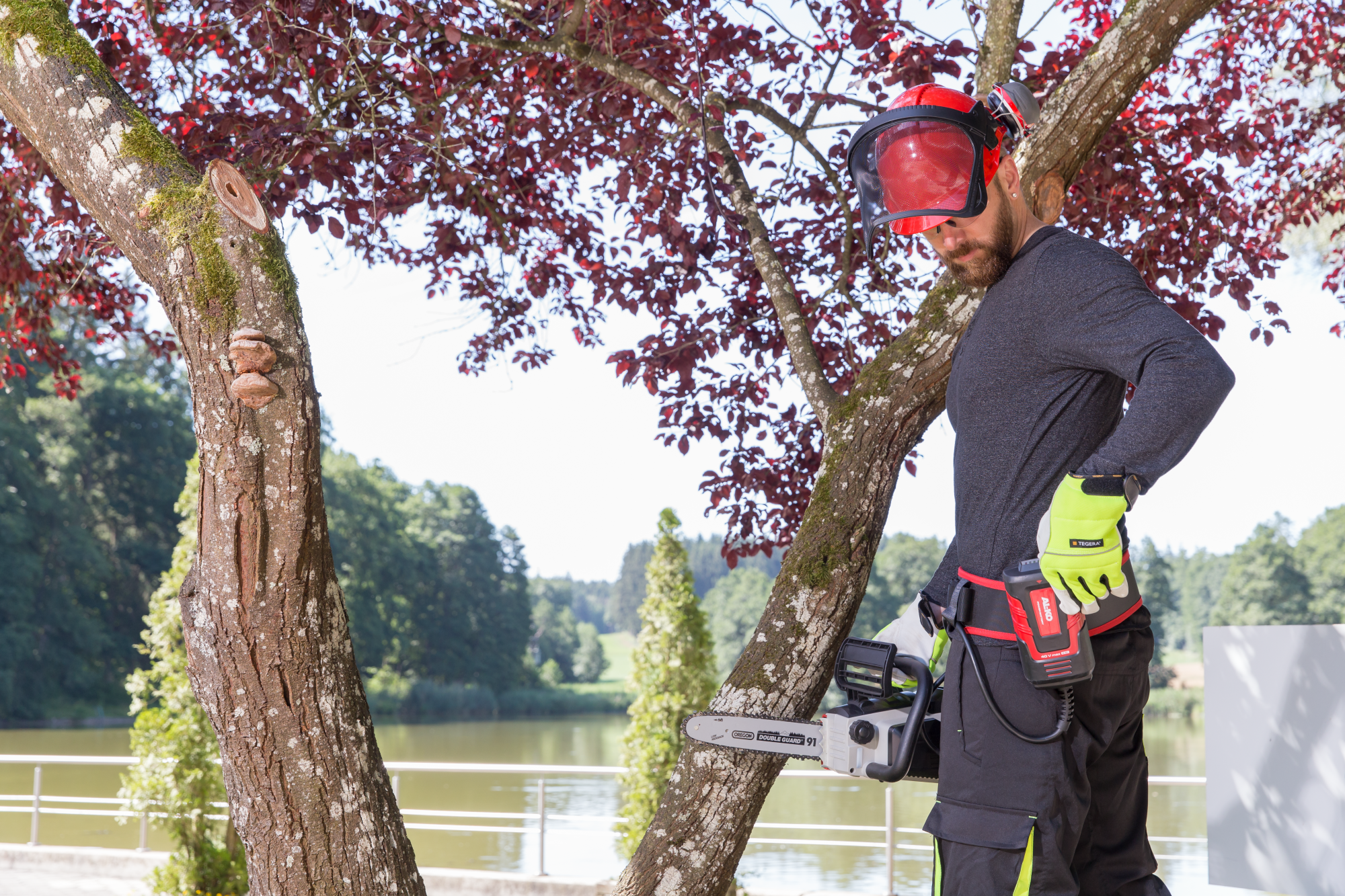 Цепная пила аккумуляторная AL-KO Energy Flex CS 4030 с аккумулятором и ЗУ купить по цене 13&nbsp;492 ₽ в интернет магазине ТЕХСАД